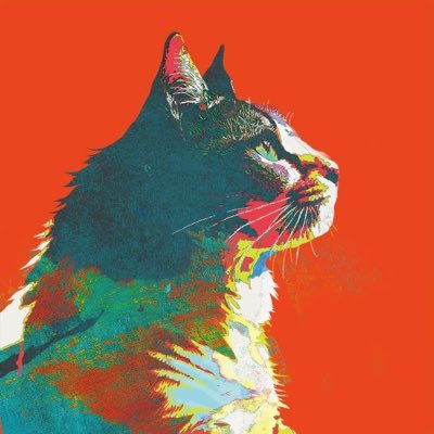 chimokke's profile picture. 