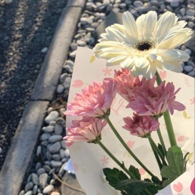 uootlook123's profile picture. إينما توجد ينبت الورد🌸