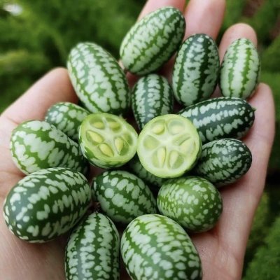 Sonncscclure's profile picture. Learn to relax. Your body is precious, as it houses your mind and spirit. Inner peace begins with a relaxed body.