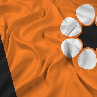 jarmyn_rus5597's profile picture. 