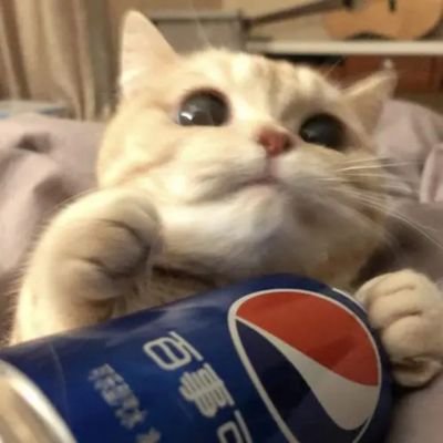 Ditto12_'s profile picture. 