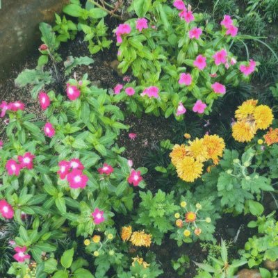 excofna's profile picture. 