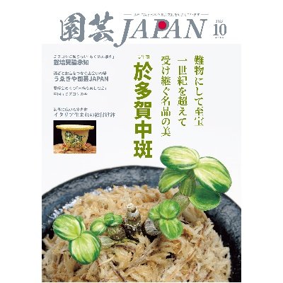 苗ご相談ページ 園芸JAPAN【毎月12日発売】 (@ENGEI_JAPAN) / X