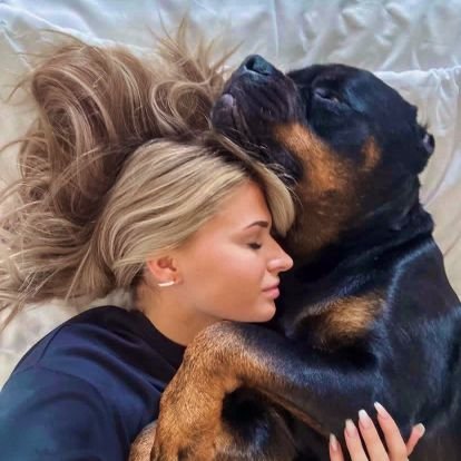 Tracy_movies's profile picture. https://t.co/nysxJKL6G4