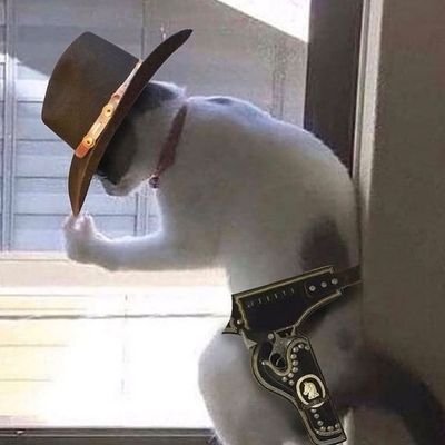 EclipseWXY's profile picture. 