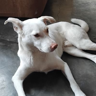 Miguel671399082's profile picture. sano Ctm te voy a meter Plomo 🇵🇪
Los Mo$trØs