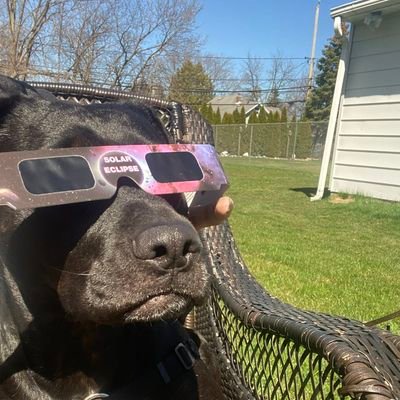 JohnAngela1960's profile picture. i love rockin roll 💥❤️‍🔥🎸