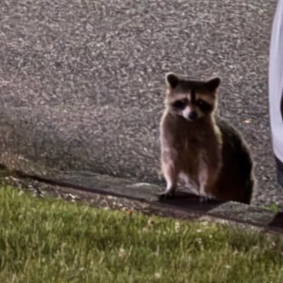 RealClimberrr's profile picture. 