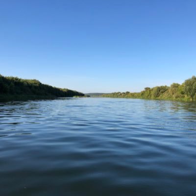 dolgovefim's profile picture. 