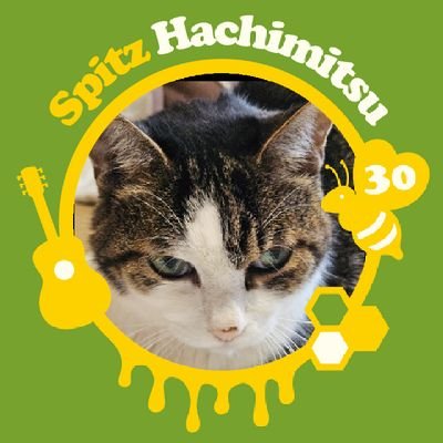 Spitz6142's profile picture. 敬愛するSpitzについて呟くハズが他にも上げてまス🤖🍊、ベース祭りからホフディランも🎸あいみょんにも泣く、東京(生まれただけ)→札幌→金沢→横浜→千葉→仙台→また、今🥜　偉大な最後の一匹😺2024.11.10に旅立ちました🌈🪷くろこ25.8.21🐈‍⬛