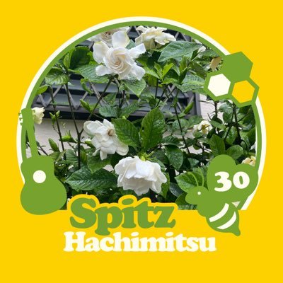 mikoyanokusa's profile picture. grapevine /spitz /街で出会う猫/園芸 /建物/ドラゴンズに再燃#9#60推し/人の前で書くお仕事をたまにします