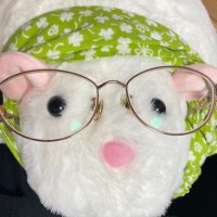 チコリータ！プロフ必読！ CATEGORY チタノタ FO-76 | RAFLUM / ラフラム｜東京、大阪の