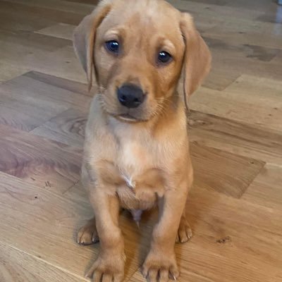 LouiseWothersp5's profile picture. 