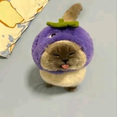 仲良くなりたい！dm来てくれたら雰囲気とかおくれる、、！
