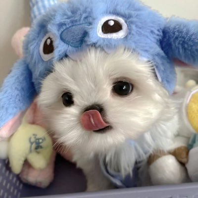 do_objw's profile picture. 