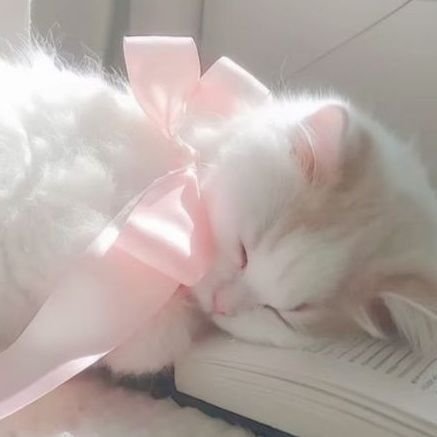 nnirolls's profile picture. sweet like cinnamon•°🍰