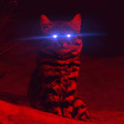 ♡ Longhouse Arsonism ♡ Skinny Foid Lover ♡ @TND ♡ Sleepy Cat Nationalism ♡ Gender War Analyst ♡ Meow Pilled ♡ Bunny Pilled ♡ Age Gap Enjoyer ♡ DeFi ♡ 🐈⬛/acc ♡