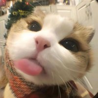 notreally_eyya (@eyyyaaaxx_) 's Twitter Profile