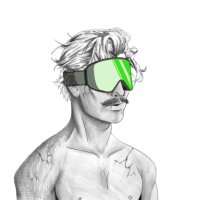 pixel (@_wildpixel) 's Twitter Profile