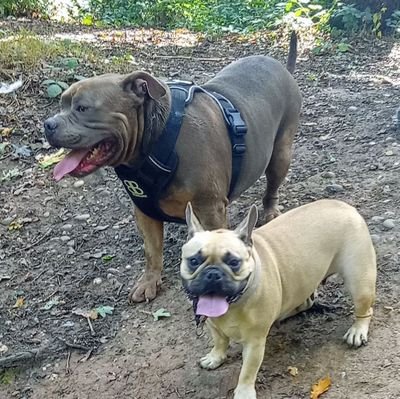 VVawne2005's profile picture. 