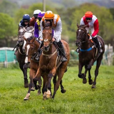 sendai8chan's profile picture. 競馬、麻雀、酒、ゲームが趣味のクズ。相互フォロー大歓迎です。気になる馬のことをポストします。