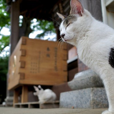Alfonsvorne's profile picture. Nothing in life is to be feared. It is only to be understood.