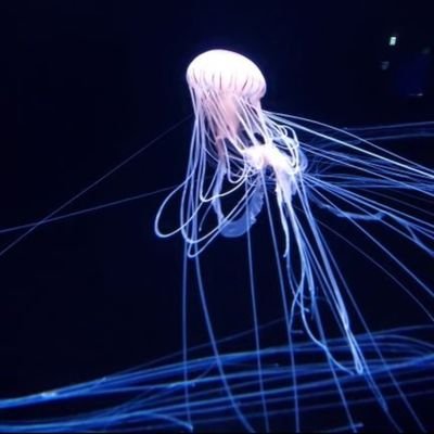 bb_oekaki__'s profile picture. 好きなVtuberを描きます！ @bb_02134