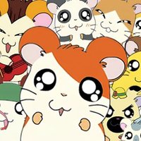 Solana Love $HAMTARO (@hamtaro_on_sol) 's Twitter Profile