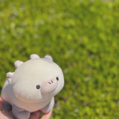 🌼yomiko🌼さんのプロフィール画像