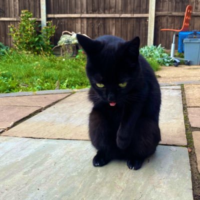 BigLeafby's profile picture. 