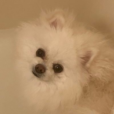 陽斗は11月から23時半で寝るさんのプロフィール画像