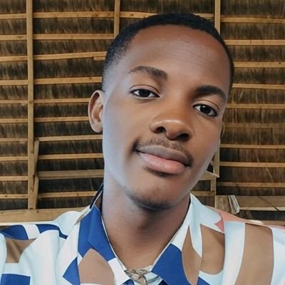 iamhervenz's profile picture. 💻 Software Developer • Frontend Focused • Crafting web interfaces that are attractive and interactive.
