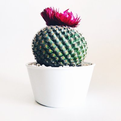 Jermvxch's profile picture. Whatever it is you’re seeking won’t come in the form you’re expecting.