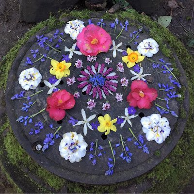IrisEllenberg's profile picture. 