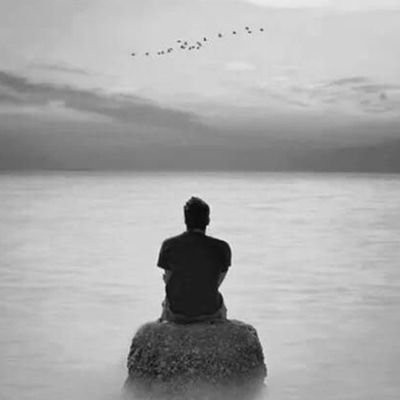 AMARNOYASER's profile picture. اللهم صل علےمحمدﷺوآل محمدﷺوعجل فرجهم 🌹📖📚👥🇮🇷