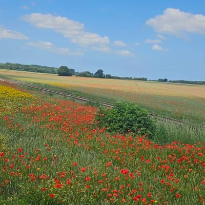 JLASMALA's profile picture. Aime la politique mais non partisane - Supporter de Basket #BCO #LetsGoBco  - Passionné des médias #FranceTV