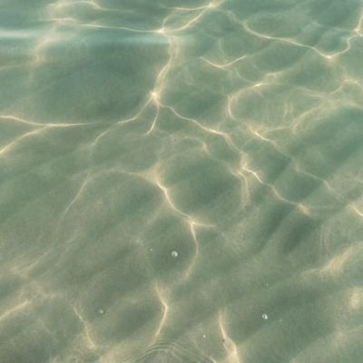 InduDev83348928's profile picture. (⁠╥⁠﹏⁠╥⁠)