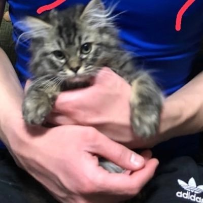 syuchi915's profile picture. 資産形成、筋トレ、音楽鑑賞、ゲームとかが趣味の25歳♂ ポートフォリオなど定期的に投稿します。世知辛い世の中ですが一緒に頑張りましょう！ 変なアカウント以外フォロー返します。 俺は多分変なアカウントでは無いです！