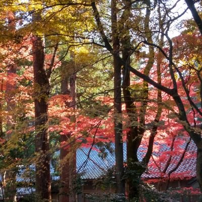 G1TbqwLQU139722's profile picture. 