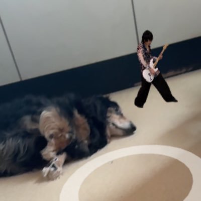 synergy324's profile picture. 離れてる間がちょくちょくあったりするけど14歳の頃から圭くんが好き🙌🏻