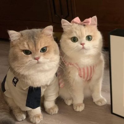 bearprettyy's profile picture. Love🤍
