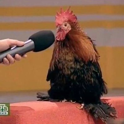 여기가어디야さんのプロフィール画像