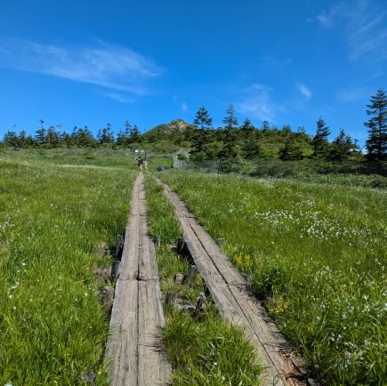 umetori0083's profile picture. 登山初心者です。情報収集に使ってます。