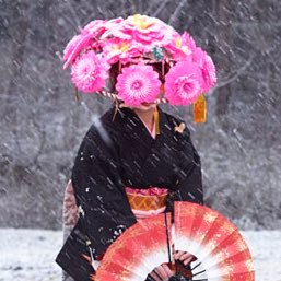 MeteorCo's profile picture. 横浜生まれ｡ノイズ･インダストリアル、シューゲイズ、Lo-Fi。映画。猫🐈。どうぶつの森🌳、ピグライフ🌱。