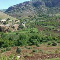 Mehmet şevki (@mehmet_sev18312) 's Twitter Profile