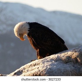 Lawyer. United States Marine Veteran. Unafilliated Patriot