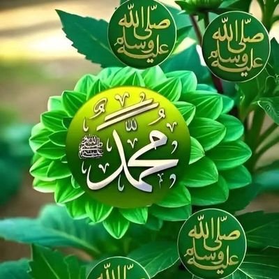 talqany70243's profile picture. 