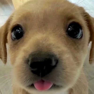 누추하지만 어서오세요

성인
https://t.co/BPsXyYIUWl
 푸슝