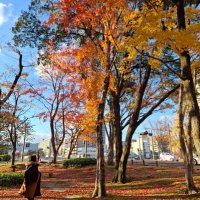 チロリン (@ge_skm) 's Twitter Profile