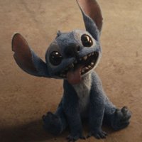 Bobby G (@madmike19790) 's Twitter Profile